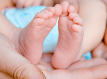 brasilenos mayoria desaprueba aborto microcefalia 369x274 exact 1457458539 - Mayoría de brasileños desaprueban aborto incluso con microcefalia