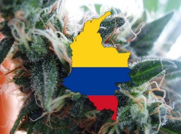 EvangC3A9licos rechazan aprobaciC3B3n de marihuana en Colombia 369x274 exact 1464363542 - Evangélicos rechazan aprobación de marihuana en Colombia