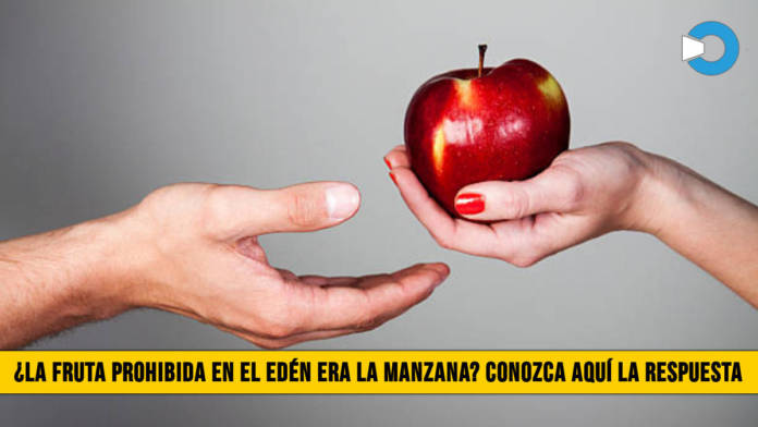 5f12fruta proh 696x392 - Â¿La Fruta Prohibida en el EdÃ©n era la Manzana? Conozca aquÃ­ la respuesta