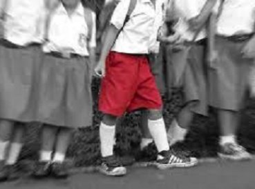 Escuelas ensenaran que los ninos tambien pueden menstruar  369x274 exact 1545846914 - Escuelas enseñarán que “los niños también pueden menstruar”